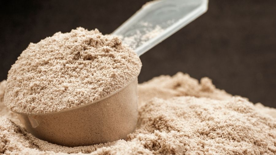What Is Whey Protein