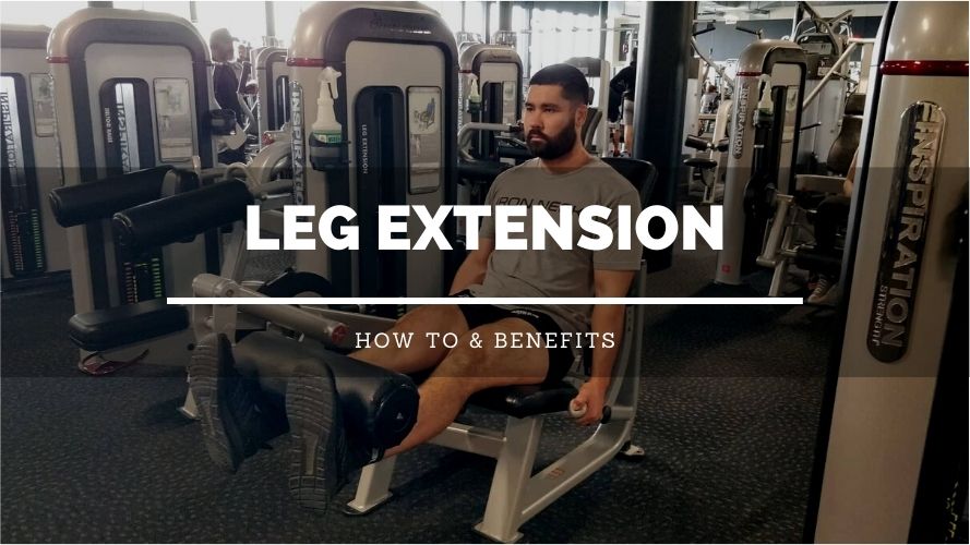 7 Surprising Leg Extensions Benefits (Ultimate Guide) - Robor Fitness