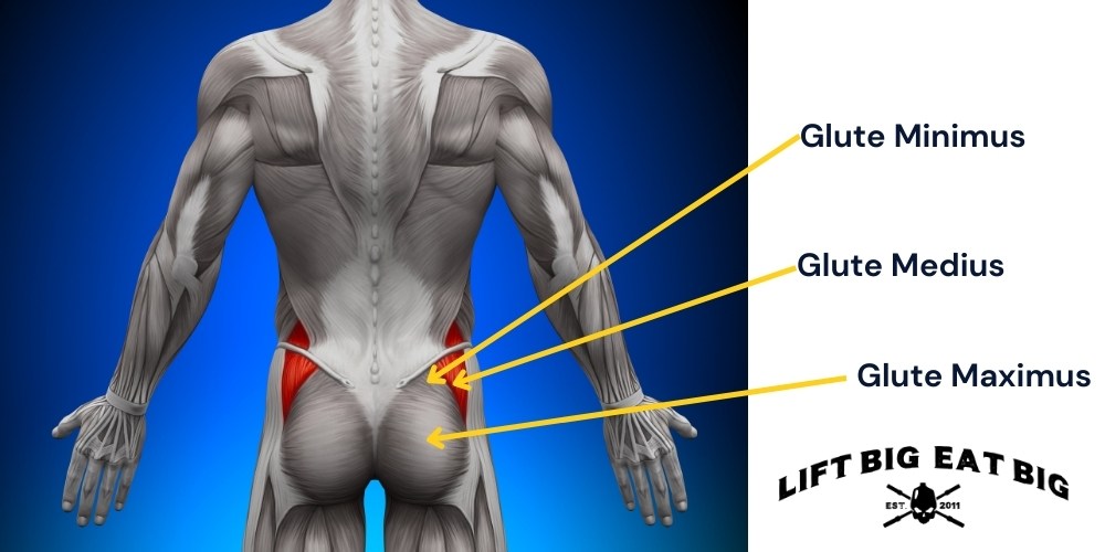 How To Get Big Glutes