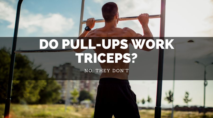 Do Pull-Ups Work Triceps