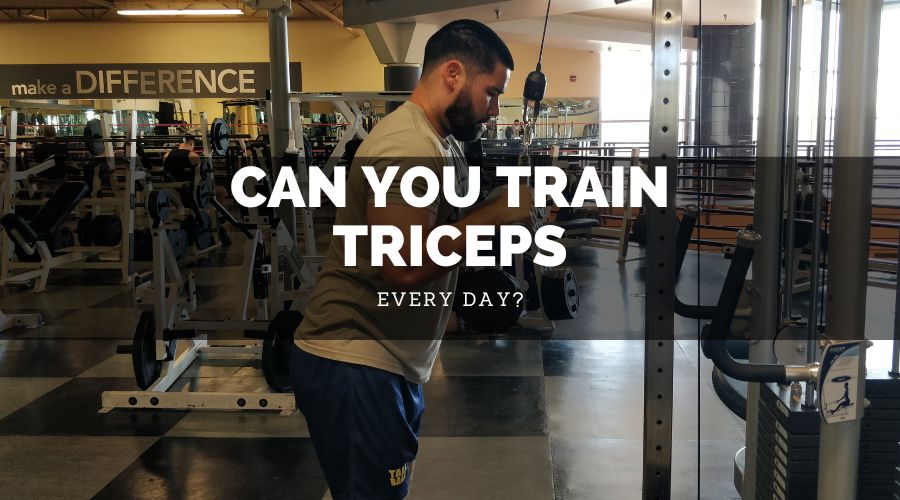 Can You Train Triceps Every Day
