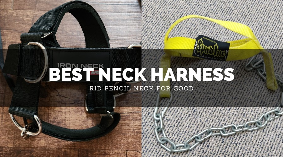 Best Neck Harness