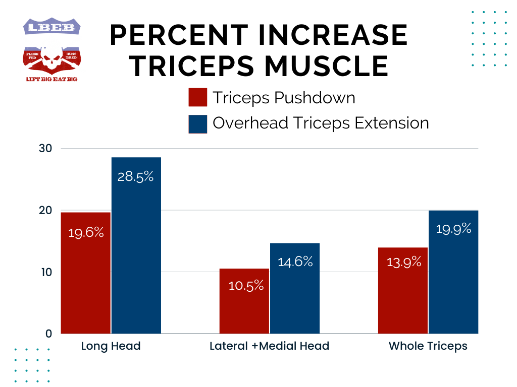 Triceps Study