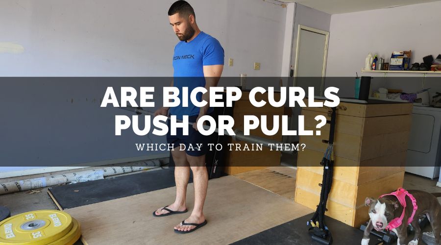 Are Bicep Curls Push Or Pull