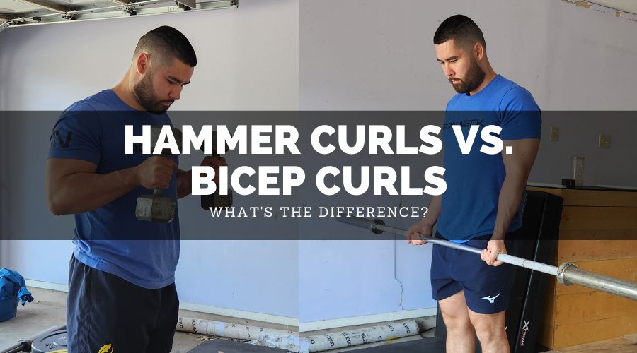 Hammer Curls vs Bicep Curls