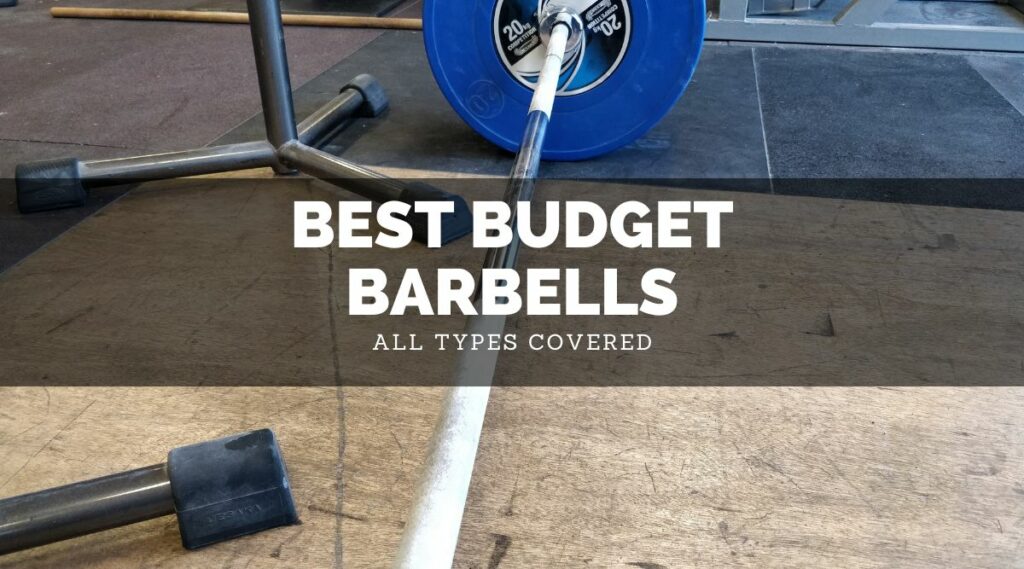 Best Budget Barbell