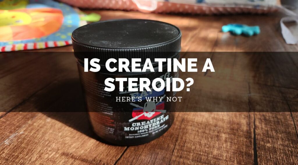 Is Creatine A Steroid