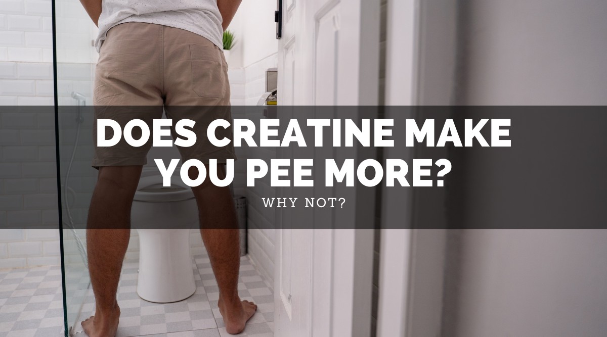 A creatina faz você urinar mais